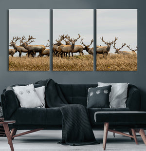 Elk Herd Wall Art Canvas Print – Framed Wildlife Photography