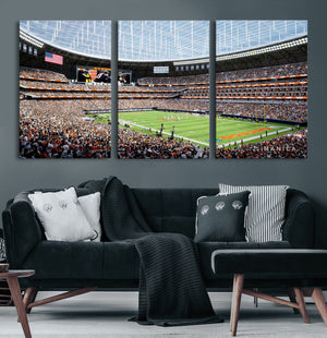 Chicago Bears Soldiers Field Wall Art Canvas Print – Framed