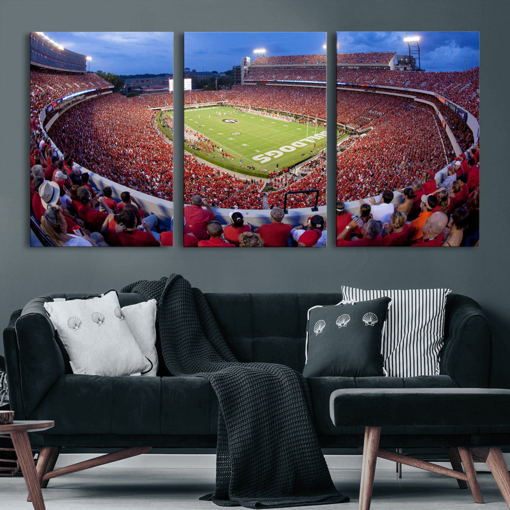 Dooley Stadium Wall Art, Sports Arena Canvas Print, Dooley