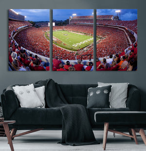 Dooley Stadium Wall Art, Sports Arena Canvas Print, Dooley