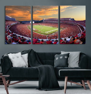 Dooley Stadium Wall Art, Sports Arena Canvas Print, Dooley