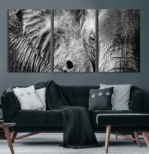 Wild Old Elephant Wall Art Canvas Print