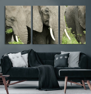 Wild Elephant Wall Art Canvas Print