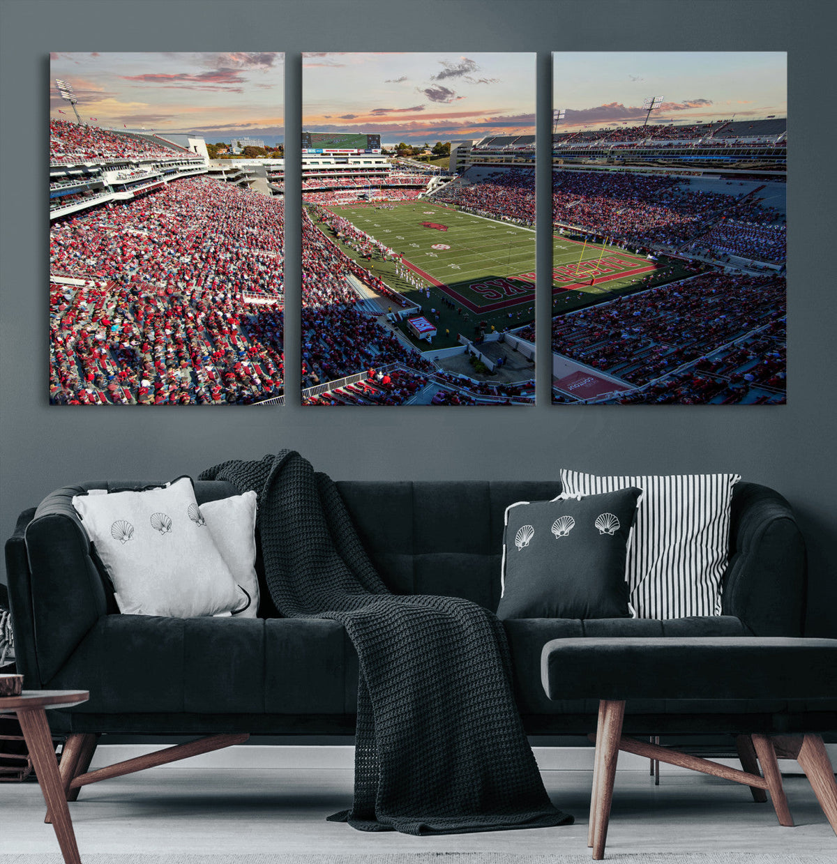 Donald W. Reynolds Razorback Stadium Wall Art Canvas Print –