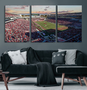 Donald W. Reynolds Razorback Stadium Wall Art Canvas Print –