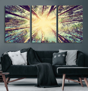 Tree and Sunshine Canvas Print