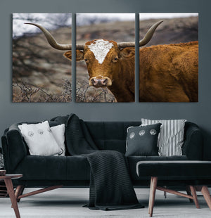 Texas Longhorn Canvas Wall Art - Longhorn Steer Canvas Wall