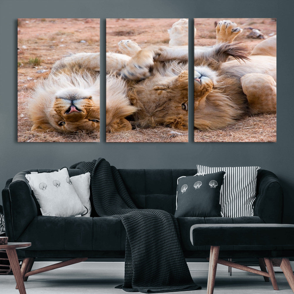 Lion Pair Wall Art Canvas Print – Framed Wildlife Scene with