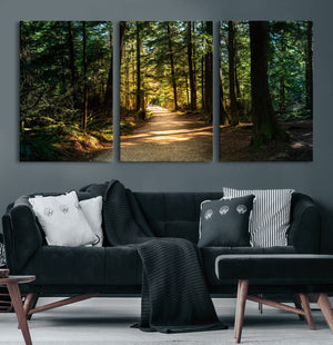 Sunlit Forest Pathway Canvas Print | 3 Panel Large Nature