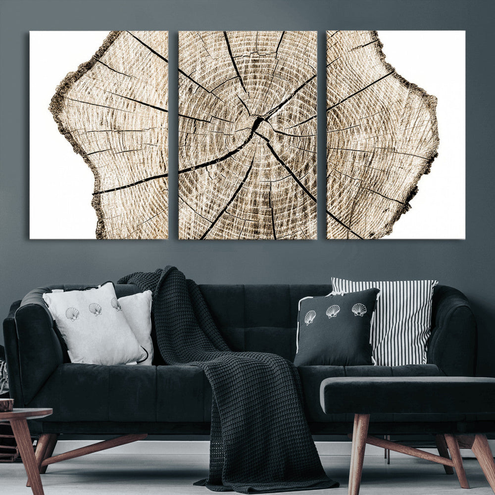 Abstract Wood Tree Ring Wall Art - Ready to Hang Minimalist