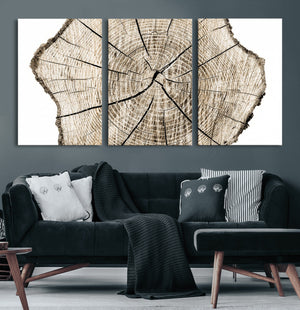Abstract Wood Tree Ring Wall Art - Ready to Hang Minimalist