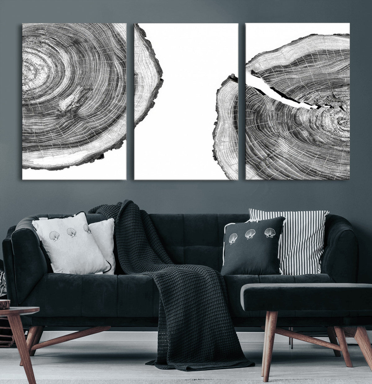 Abstract Large Tree Rings – Minimalist Black and White Wood