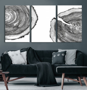 Abstract Large Tree Rings – Minimalist Black and White Wood