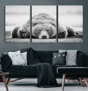 Resting Grizzly Bear Wall Art Canvas Print – Majestic Lazy