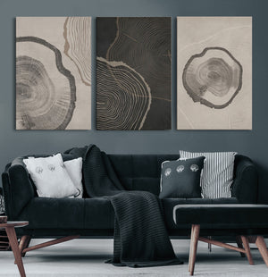 Modern Abstract Tree Ring Canvas Art Set | 3 Panel Large