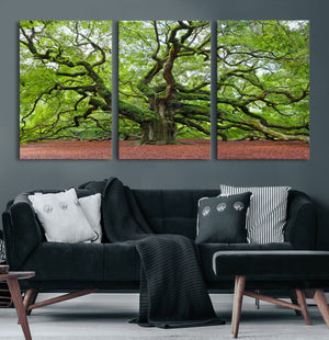 Framed Angel Oak Tree Wall Art - 3-Panel Canvas Prints,