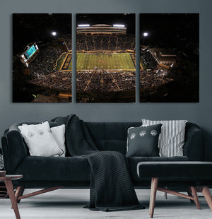 Wake Forest University Demon Deacons Canvas Printi, Football