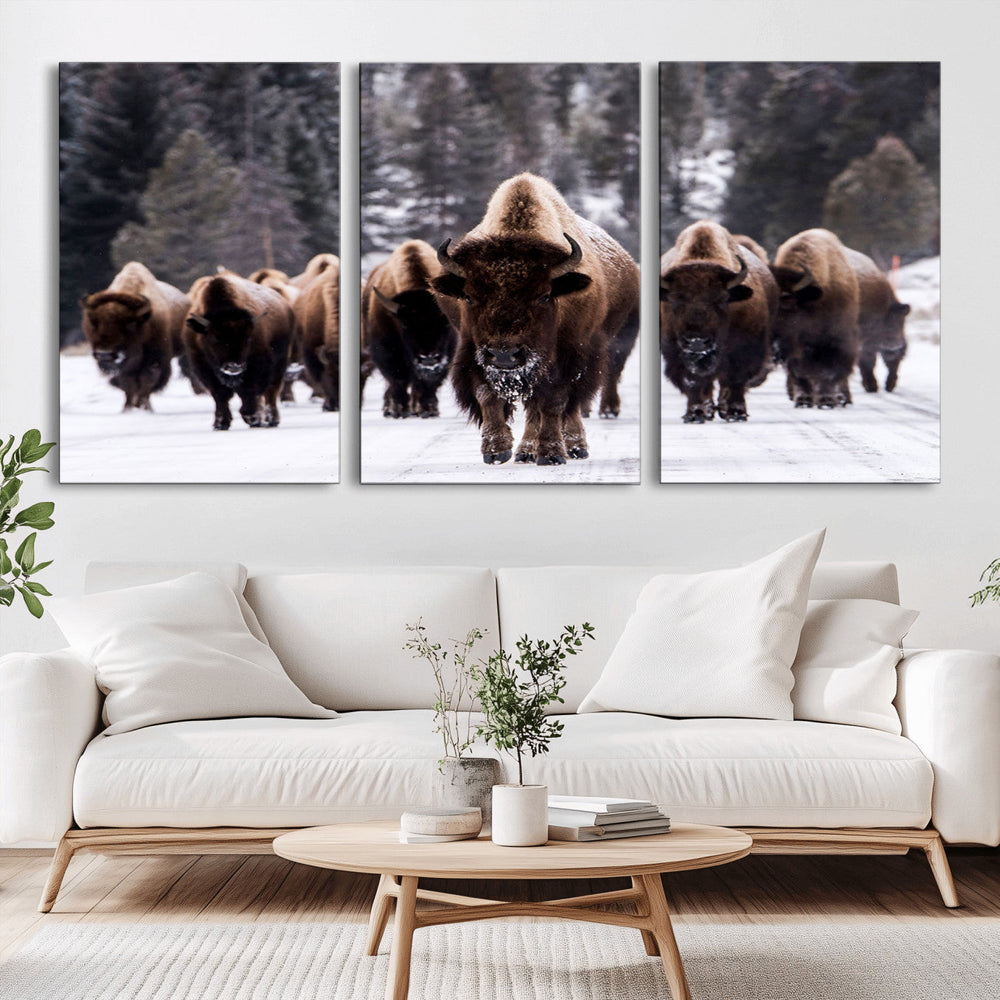 Bison Wall Art Canvas Print- Bison Herd Canvas Wall Art –