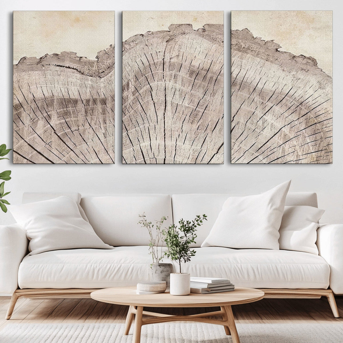 Tree Ring Wall Art Triptych, Rustic Wood Ring Canvas Print,