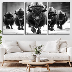 American Bison Art | Buffalo Herd Wall Art Canvas Print, BW