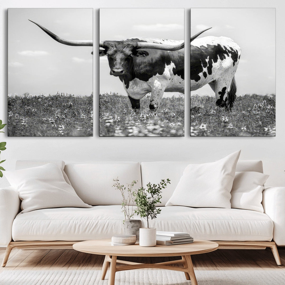 Texas Black White Highland Longhorn Cow Wall Art Canvas