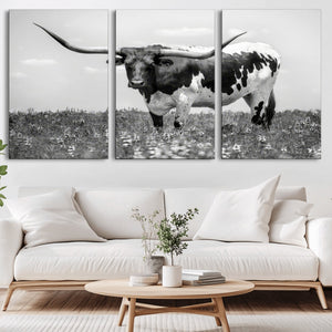 Texas Black White Highland Longhorn Cow Wall Art Canvas