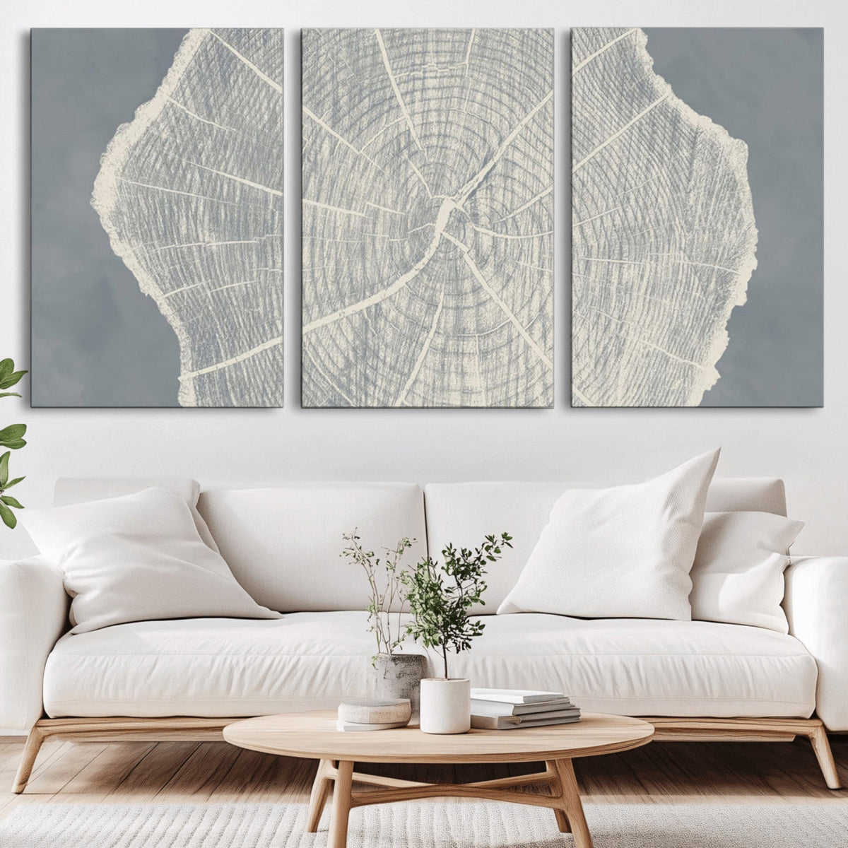 Abstract Tree Ring Wall Art Canvas Print – Nature-Inspired,