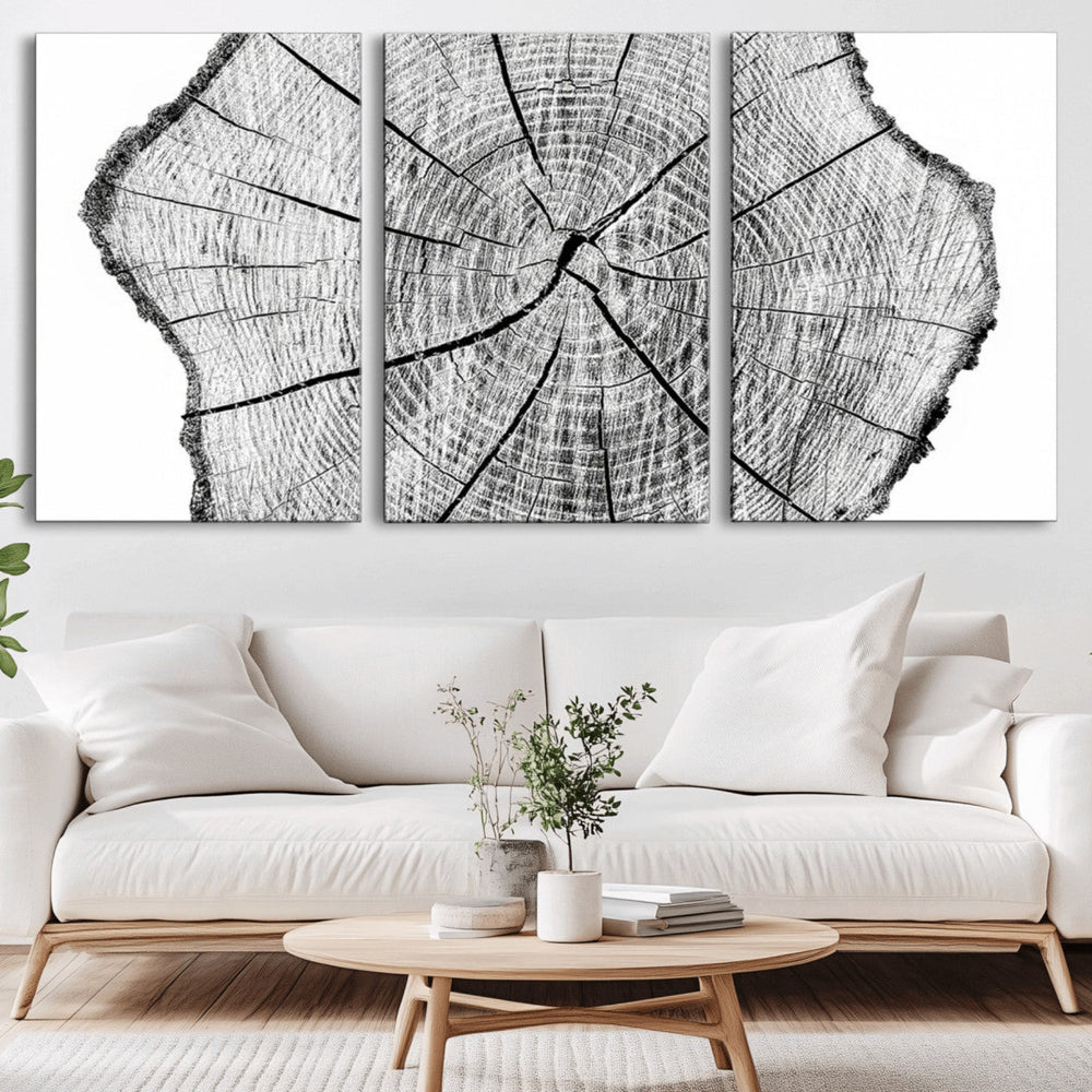 Rustic Tree Ring Wall Art Canvas Print – Framed and Ready to