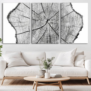 Rustic Tree Ring Wall Art Canvas Print – Framed and Ready to