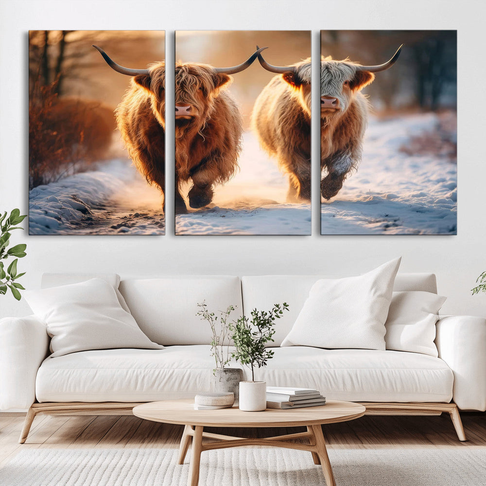 Scottish Highland Cow Horn Farm Wall Art Canvas Print