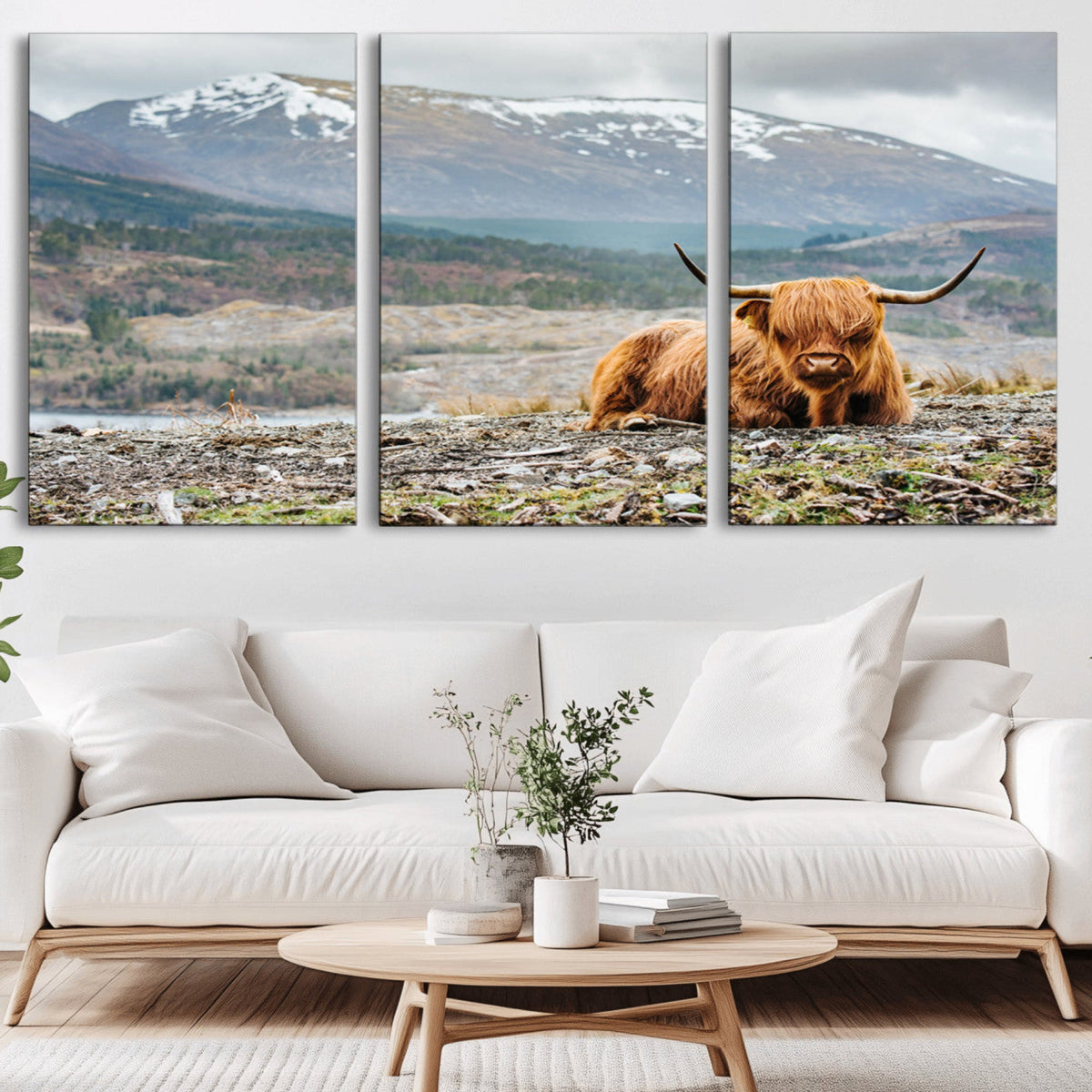 Highland Cow Horn Farm Wall Art Canvas Print