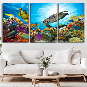 Colorful Coral Reef and Sea Life Turtle Canvas Print,
