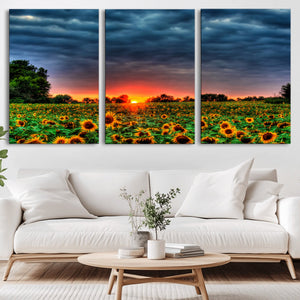 Golden Sunflower Field at Sunset – Breathtaking Sky and