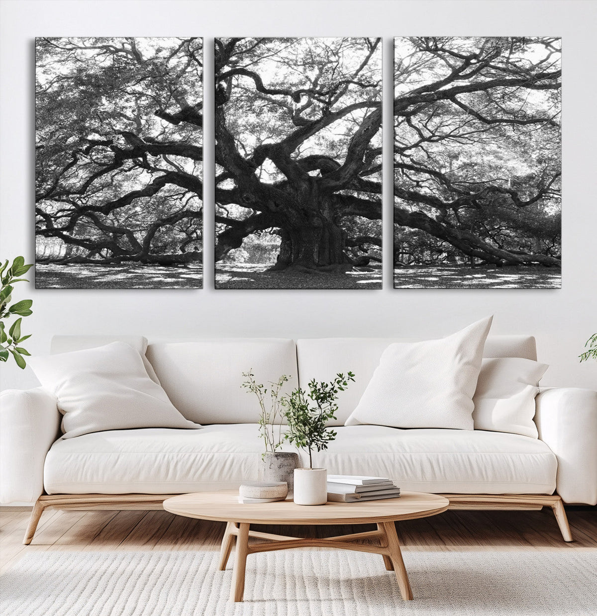 Ancient Oak Wall Art Canvas Print, Majestic Twisted Branches