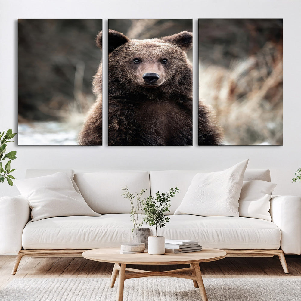 Brown Bear Wall Art Canvas Print – Framed Majestic Woodland