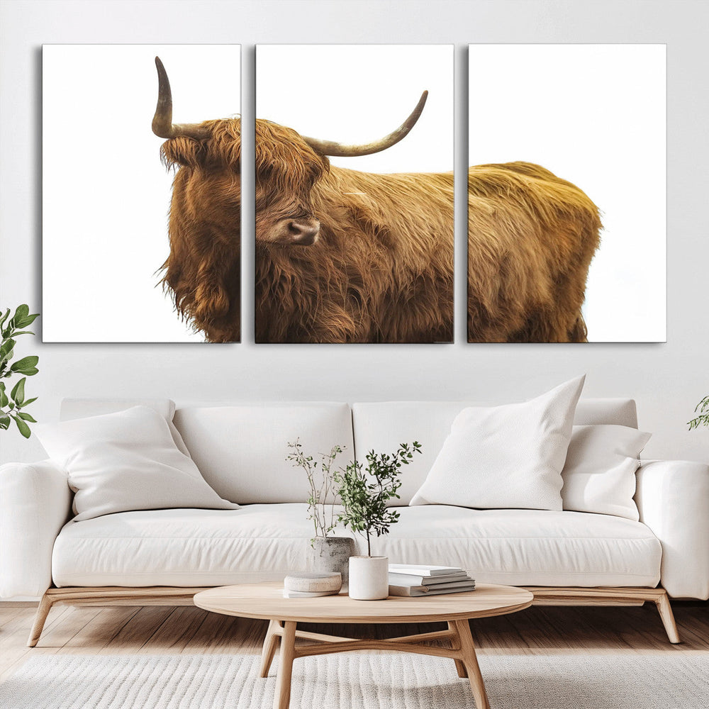 Highland Cow Wall Art Canvas Print – Framed Farmhouse Rustic
