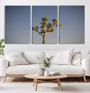 Joshua Tree Wall Art Canvas Print – Framed Southwestern