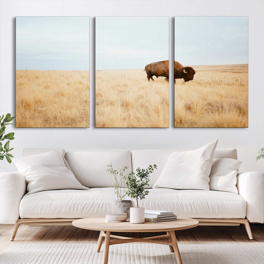 Buffalo Wall Art Canvas Print – Framed Western Wildlife