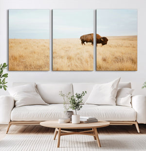Buffalo Wall Art Canvas Print – Framed Western Wildlife