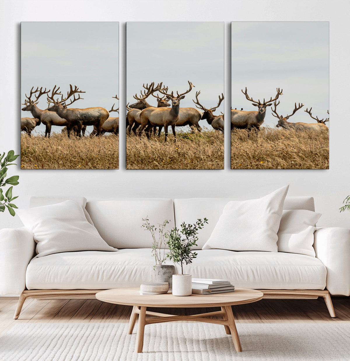 Elk Herd Wall Art Canvas Print – Framed Wildlife Photography