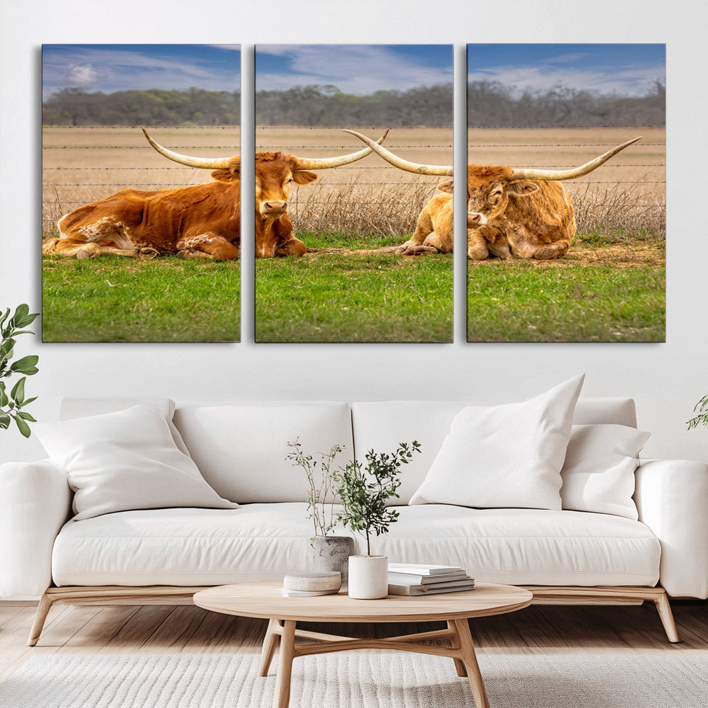 Texas Longhorn Pair Wall Art Canvas Print – Peaceful Rustic