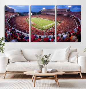Dooley Stadium Wall Art, Sports Arena Canvas Print, Dooley
