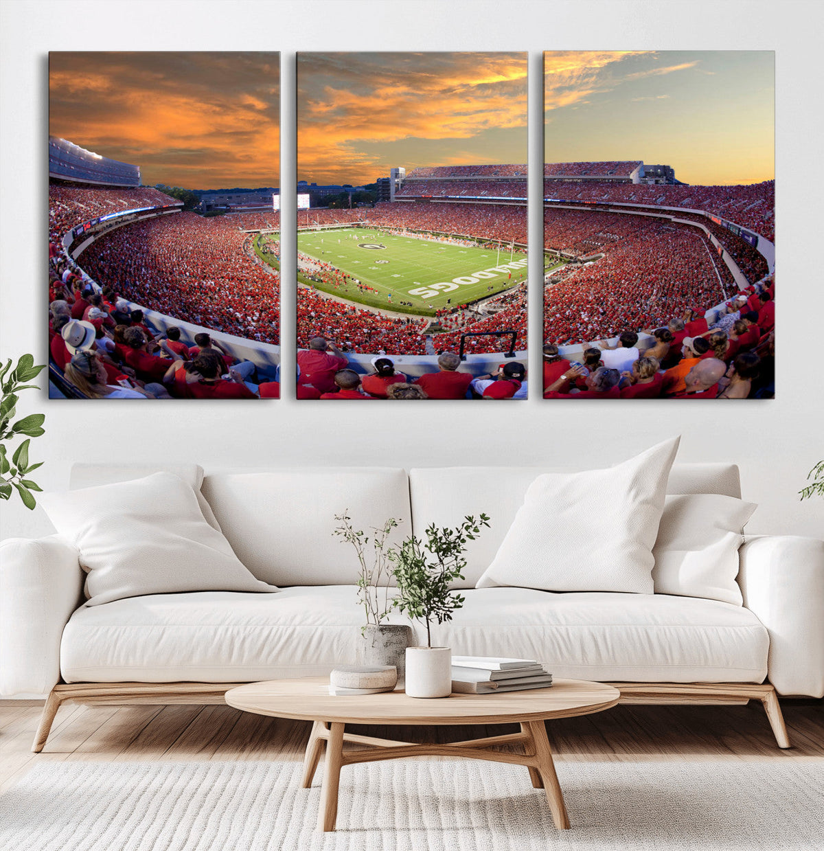 Dooley Stadium Wall Art, Sports Arena Canvas Print, Dooley