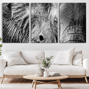 Wild Old Elephant Wall Art Canvas Print