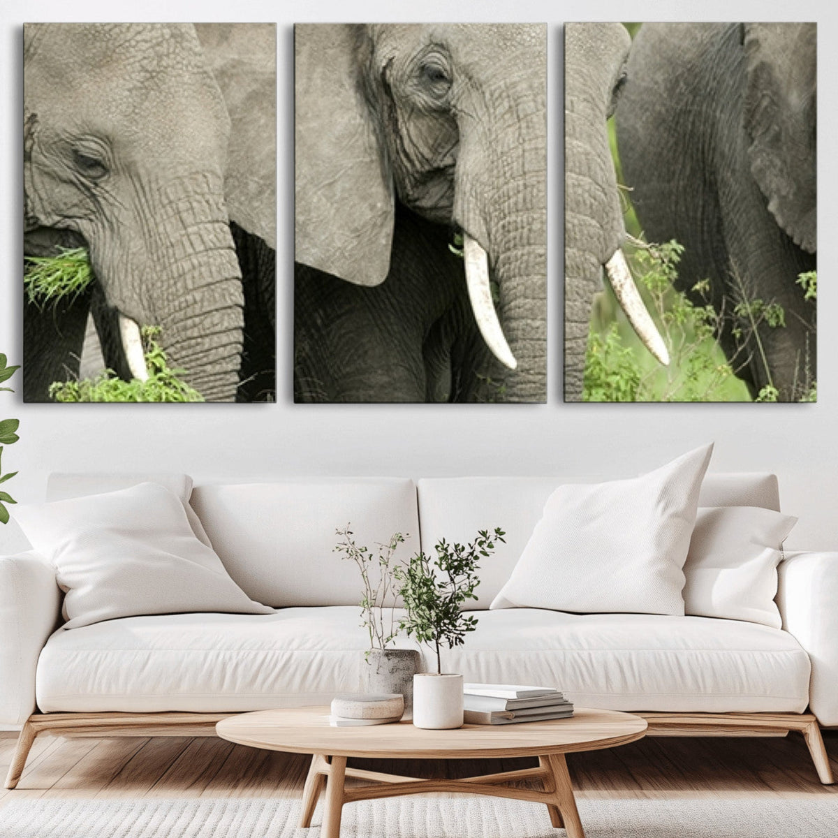Wild Elephant Wall Art Canvas Print