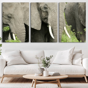 Wild Elephant Wall Art Canvas Print