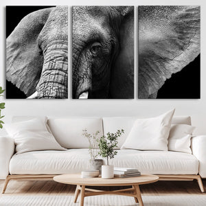 Big Elephant Close Up Wall Art Canvas Print