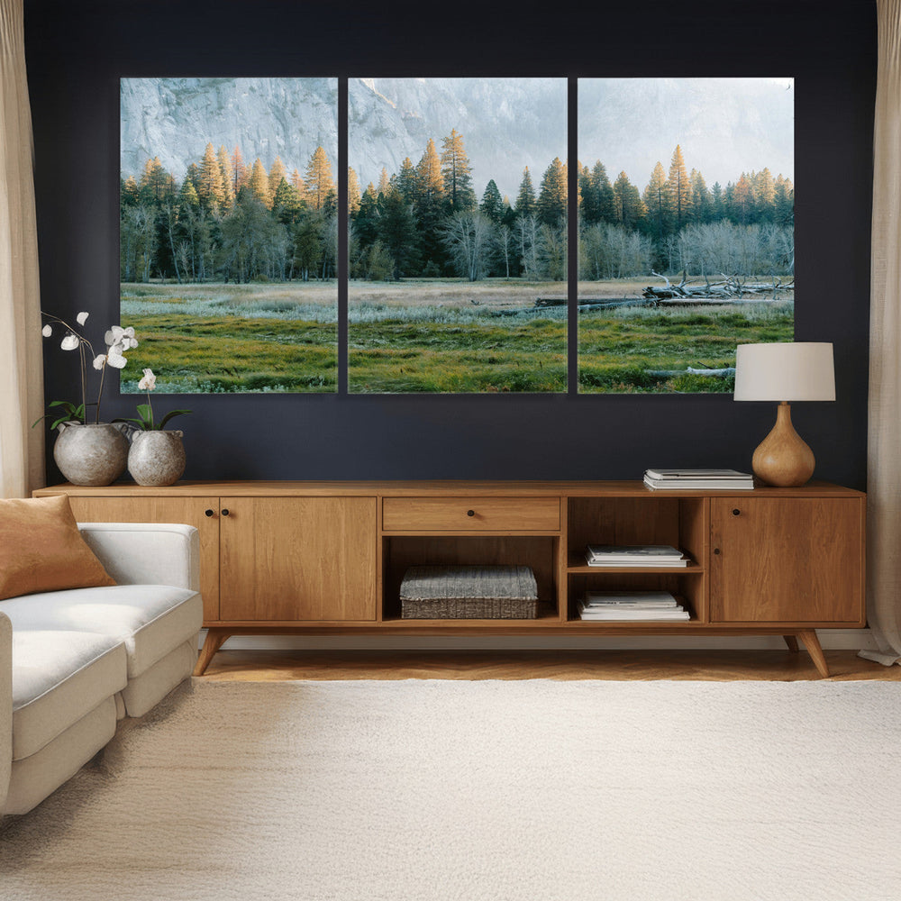 Forest Meadow Wall Art Canvas Print, Pine Tree Landscape