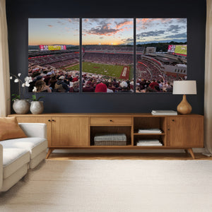 Donald W. Reynolds Razorback Stadium Wall Art Canvas Print –