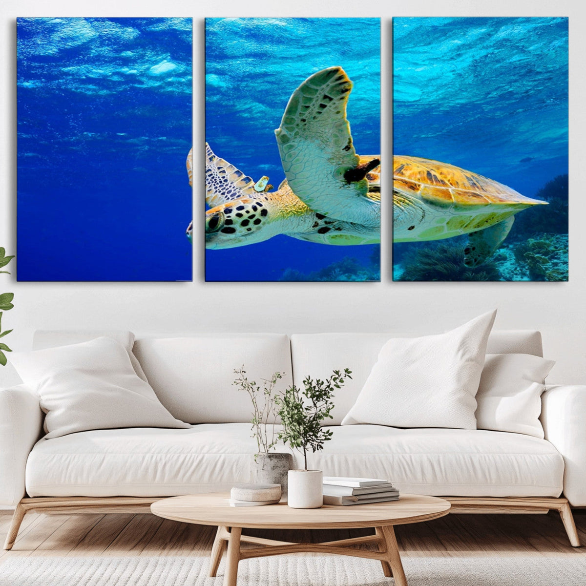 Sea Turtle Wall Art Canvas Print, Sea life in the Ocean Wall